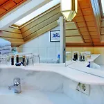 In Dienten With Ski-in Access Appartement
