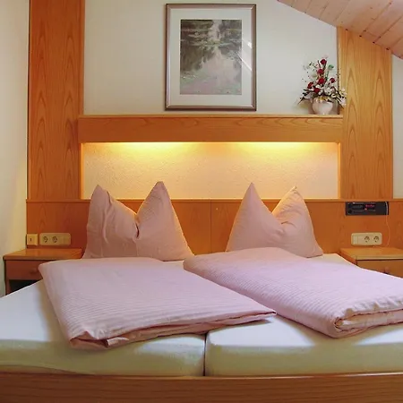 Appartement In Dienten With Ski-in Access *