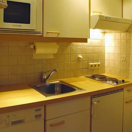 In Dienten With Ski-in Access Daire Dienten am Hochkönig