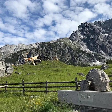 Appartement In Dienten With Ski-in Access *