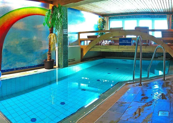 In Dienten With Ski-in Access Appartement